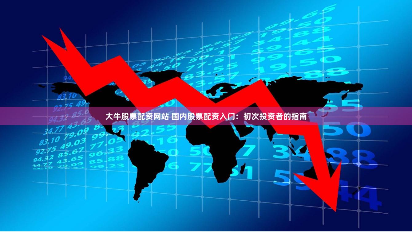大牛股票配资网站 国内股票配资入门：初次投资者的指南