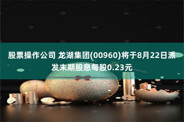 股票操作公司 龙湖集团(00960)将于8月22日派发末期股息每股0.23元
