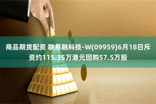 商品期货配资 联易融科技-W(09959)6月18日斥资约115.35万港元回购57.5万股